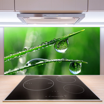 Stenska plošča za kuhinjo Grass dew drops