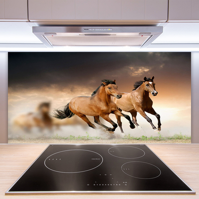 Stenska plošča za kuhinjo Konji živali
