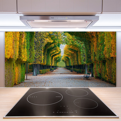 Stenska plošča za kuhinjo Park jesenski vrt narava