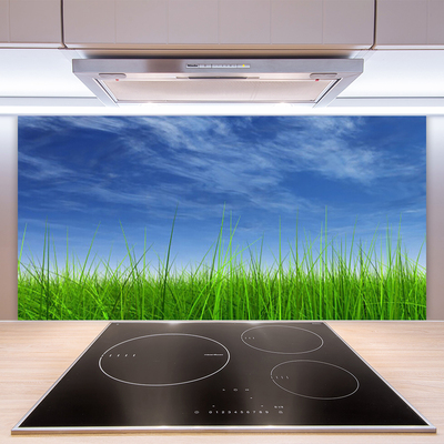 Stenska plošča za kuhinjo Sky grass nature rastlin