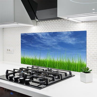 Stenska plošča za kuhinjo Sky grass nature rastlin