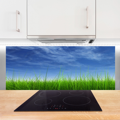 Stenska plošča za kuhinjo Sky grass nature rastlin