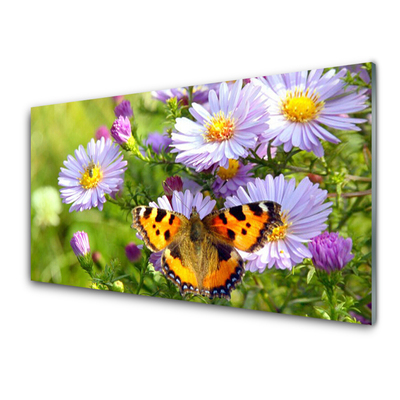Stenska plošča za kuhinjo Rastlina cveti butterfly narava