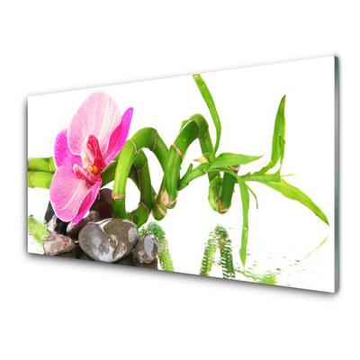 Stenska plošča za kuhinjo Narava cvet rastlina