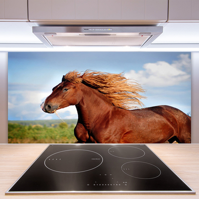 Stenska plošča za kuhinjo Konj živali