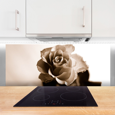 Stenska plošča za kuhinjo Rose flower rastlin