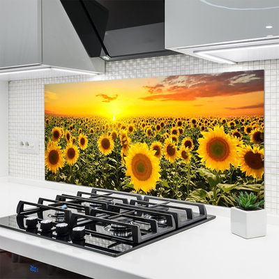 Stenska plošča za kuhinjo Sončnice