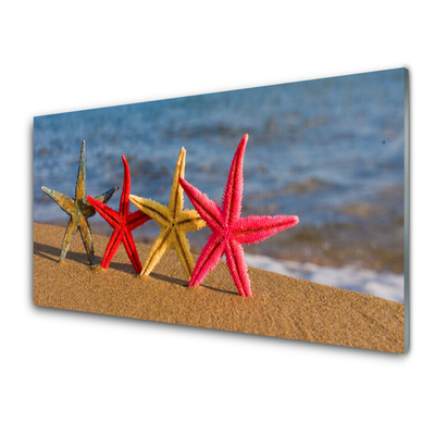 Stenska plošča za kuhinjo Starfish beach art