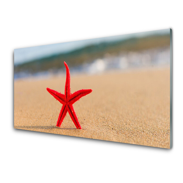 Stenska plošča za kuhinjo Starfish beach art