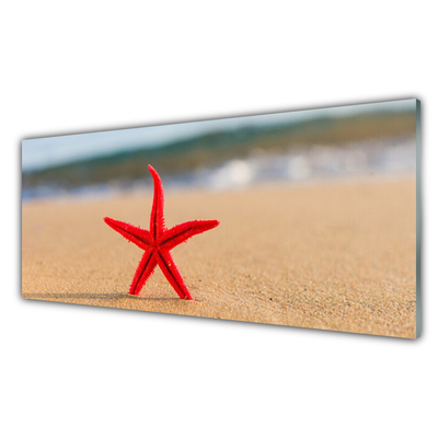 Stenska plošča za kuhinjo Starfish beach art