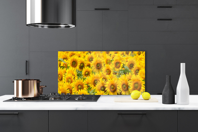 Stenska plošča za kuhinjo Sončnica rastlin narava