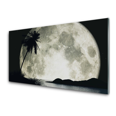 Stenska plošča za kuhinjo Nočni moon landscape palm