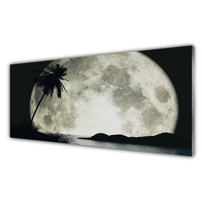 Stenska plošča za kuhinjo Nočni moon landscape palm