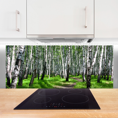Stenska plošča za kuhinjo Grass drevesa narava