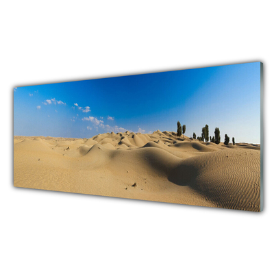 Stenska plošča za kuhinjo Pokrajina desert sand