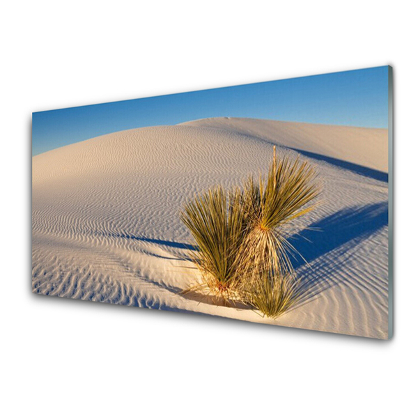 Stenska plošča za kuhinjo Pokrajina desert sand