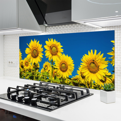 Stenska plošča za kuhinjo Rastlinski sončnice