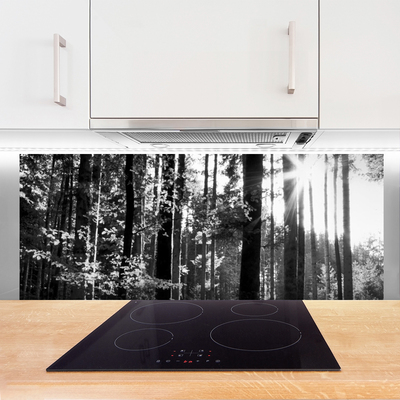 Stenska plošča za kuhinjo Narava gozdnega drevja