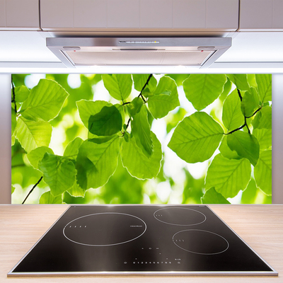 Stenska plošča za kuhinjo Listi narava rastlin