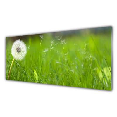 Stenska plošča za kuhinjo Dandelion grass rastlin