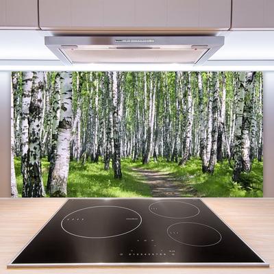 Stenska plošča za kuhinjo Gozdna drevesa narava pot