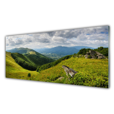 Stenska plošča za kuhinjo Mountain travnik landscape