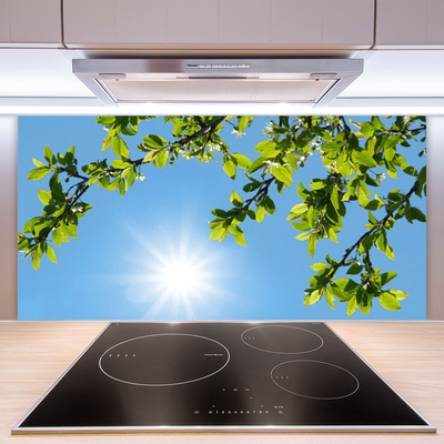 Stenska plošča za kuhinjo Sonce narava