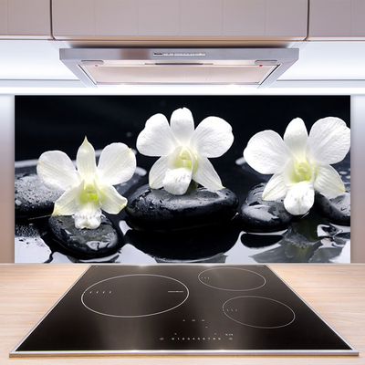 Stenska plošča za kuhinjo Orchid rastlin stones