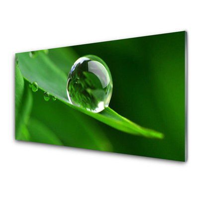Stenska plošča za kuhinjo Rastlin leaf water drops
