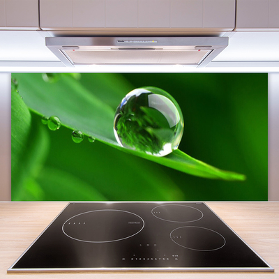 Stenska plošča za kuhinjo Rastlin leaf water drops