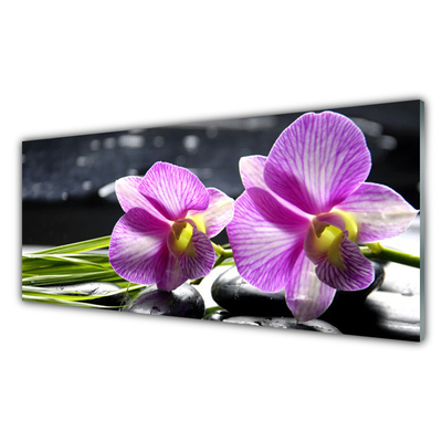 Stenska plošča za kuhinjo Cvetovi rastlin narava