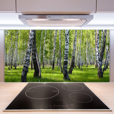 Stenska plošča za kuhinjo Gozdna drevesa narava