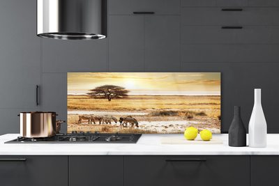 Stenska plošča za kuhinjo Zebra safari landscape