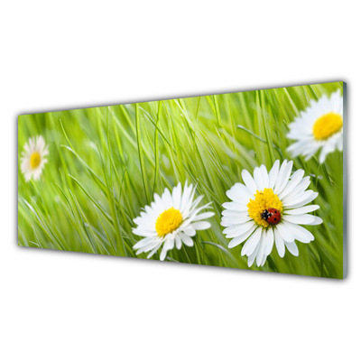 Stenska plošča za kuhinjo Grass daisies narava