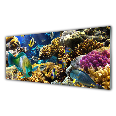 Stenska plošča za kuhinjo Barrier reef narava