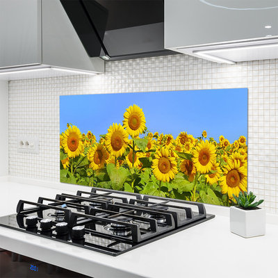 Stenska plošča za kuhinjo Sončnica flower rastlin