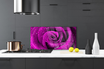 Stenska plošča za kuhinjo Rose flower rastlin narava