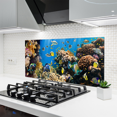 Stenska plošča za kuhinjo Barrier reef narava