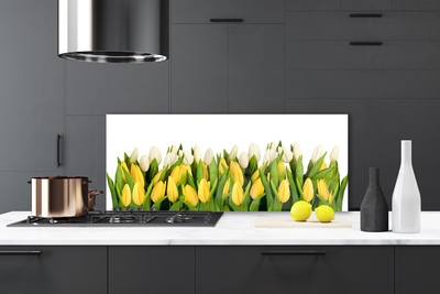 Stenska plošča za kuhinjo Tulipani cvetovi rastlin