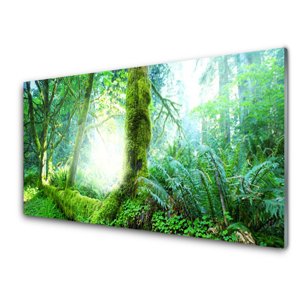 Stenska plošča za kuhinjo Forest moss narava