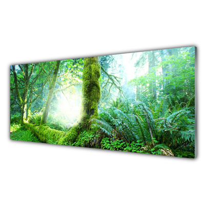Stenska plošča za kuhinjo Forest moss narava