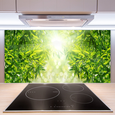 Stenska plošča za kuhinjo Listi narava rastlin