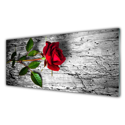 Zidna obloga za kuhinju Rose flower rastlin narava