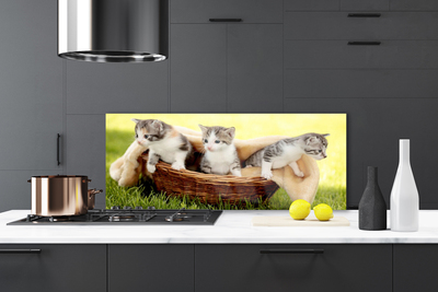 Zidna obloga za kuhinju Mačke živali