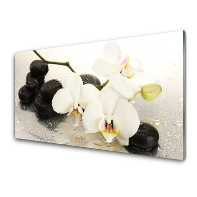 Zidna obloga za kuhinju Beautiful cvet orhideje