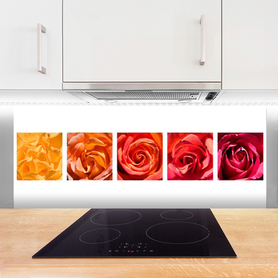 Zidna obloga za kuhinju Roses flowers rastlin