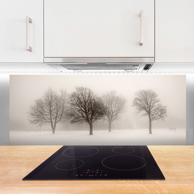 Zidna obloga za kuhinju Sneg landscape drevesa