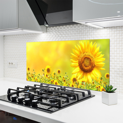 Zidna obloga za kuhinju Sončnica flower rastlin