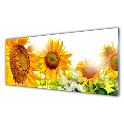 Zidna obloga za kuhinju Sončnica flower rastlin