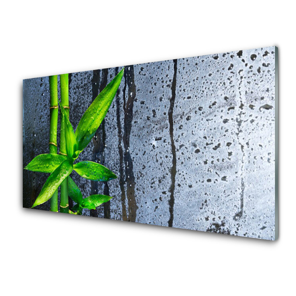 Zidna obloga za kuhinju Bamboo leaf narava rastlin